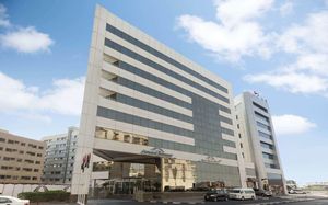 howard johnson bur dubai 3*