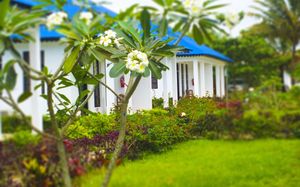 kigwedeni villas 3*