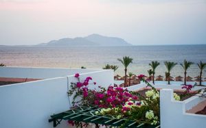 coral beach el montazah resort (ex-coral beach rotana resort el montazah) 4*