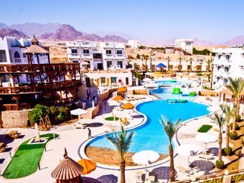 vie palma di sharm hotel (ex. new hollywood resort & entertainment) 4*