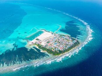 pavona maldives 3*
